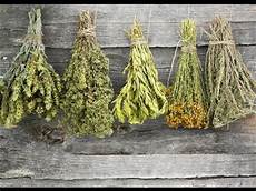 Herb Medicine