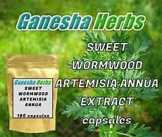 Wormwood Herbal Powders