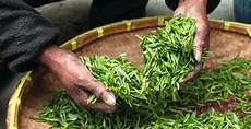 Herbal Form Products