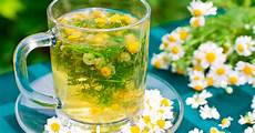Herbal Tea