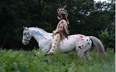 Horse Medicines